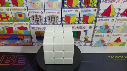 泛新科教