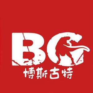 博斯古特科教玩具 開(kāi)啟智慧與創(chuàng)造力的奇妙之旅
