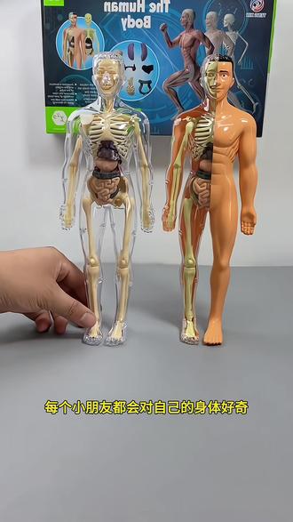 探索生命奧秘 DIY人體器官骨骼模型科教玩具推文